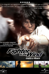 Fighter In The Wind