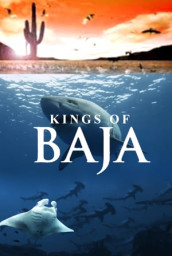 Kings of Baja
