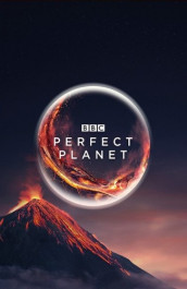 A Perfect Planet