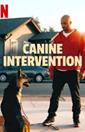 Canine Intervention