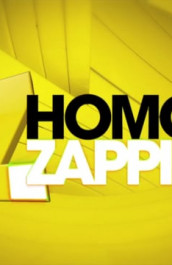 Homo Zapping